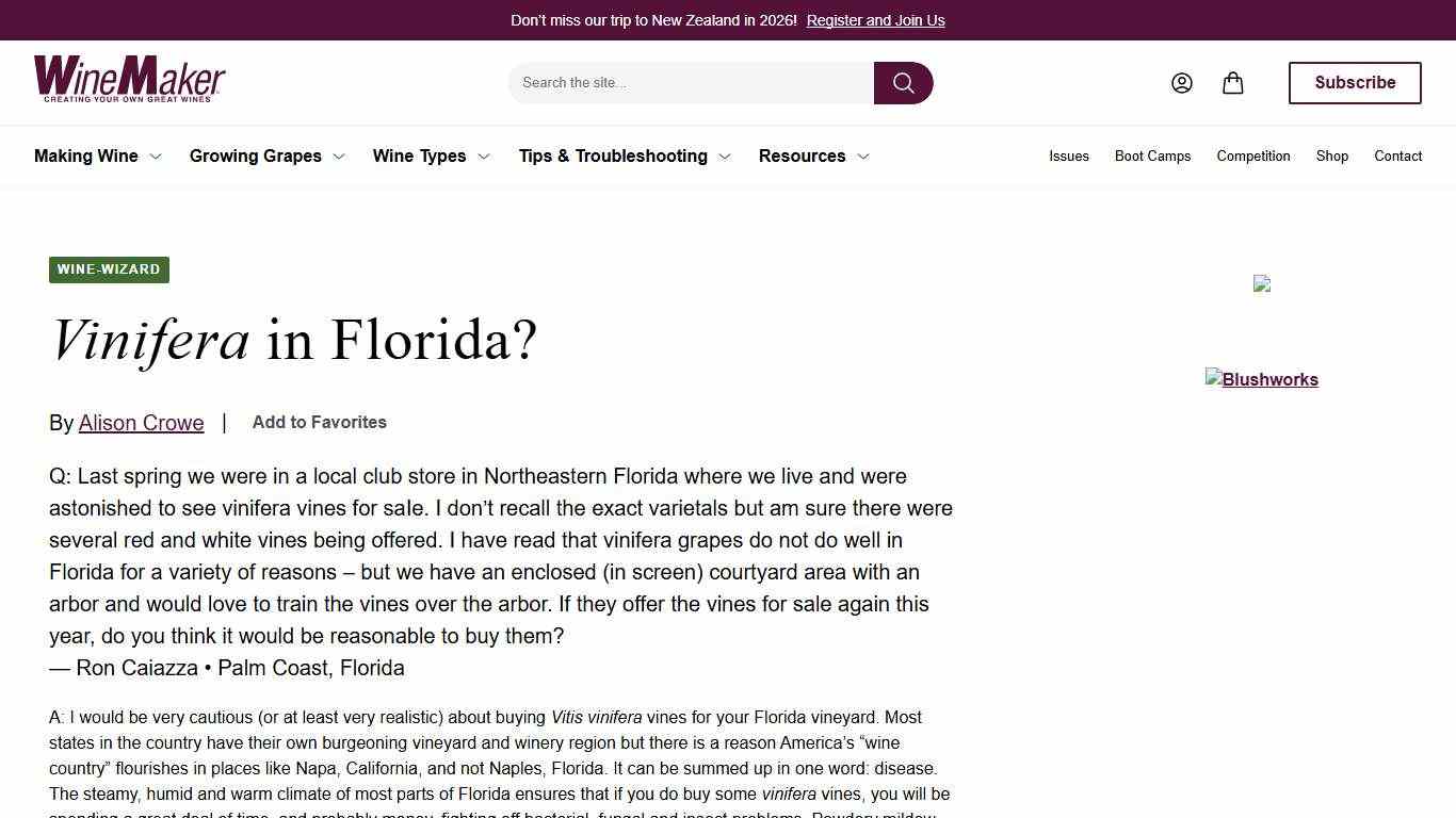 Vinifera in Florida? - WineMakerMag.com